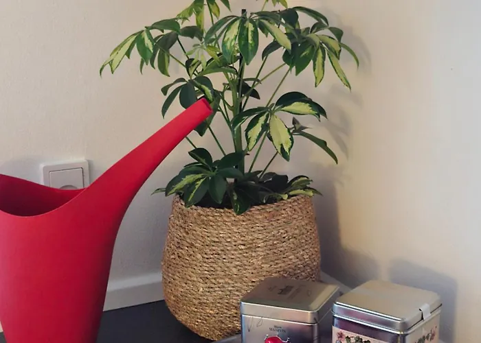 Spacious 100sqm Nordic Designer With 2 Large Bedrooms In Amager * 哥本哈根