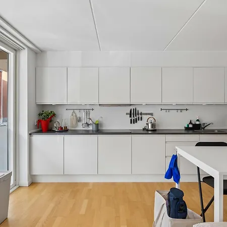 Spacious 100sqm Nordic Designer With 2 Large Bedrooms In Amager Kodaň